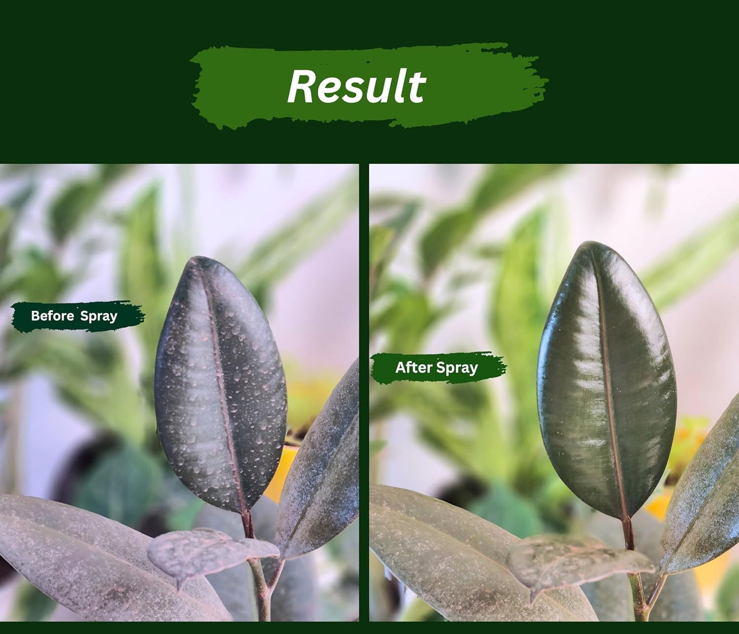 Pure Neem Plant Protection Spray (Pack of 2)